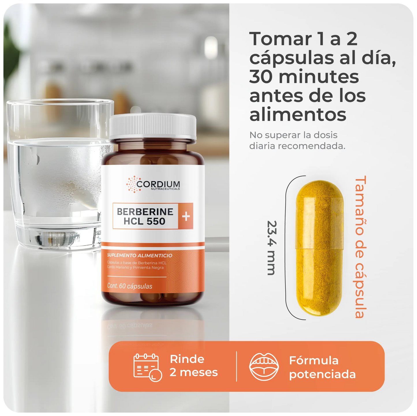 BERBERINE HCL 550