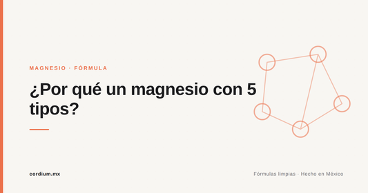 ¿Por qué un magnesio con 5 tipos? Lo que aporta combinar formas