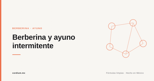 Berberina y ayuno intermitente: cómo encajan (y cómo no)