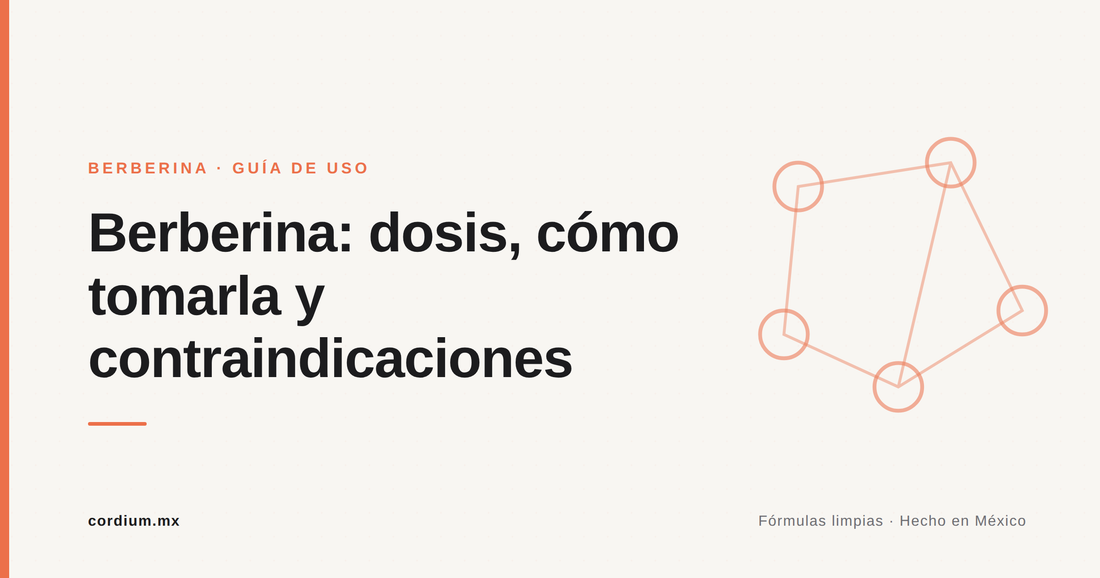Berberina: dosis, cómo tomarla y contraindicaciones — Cordium