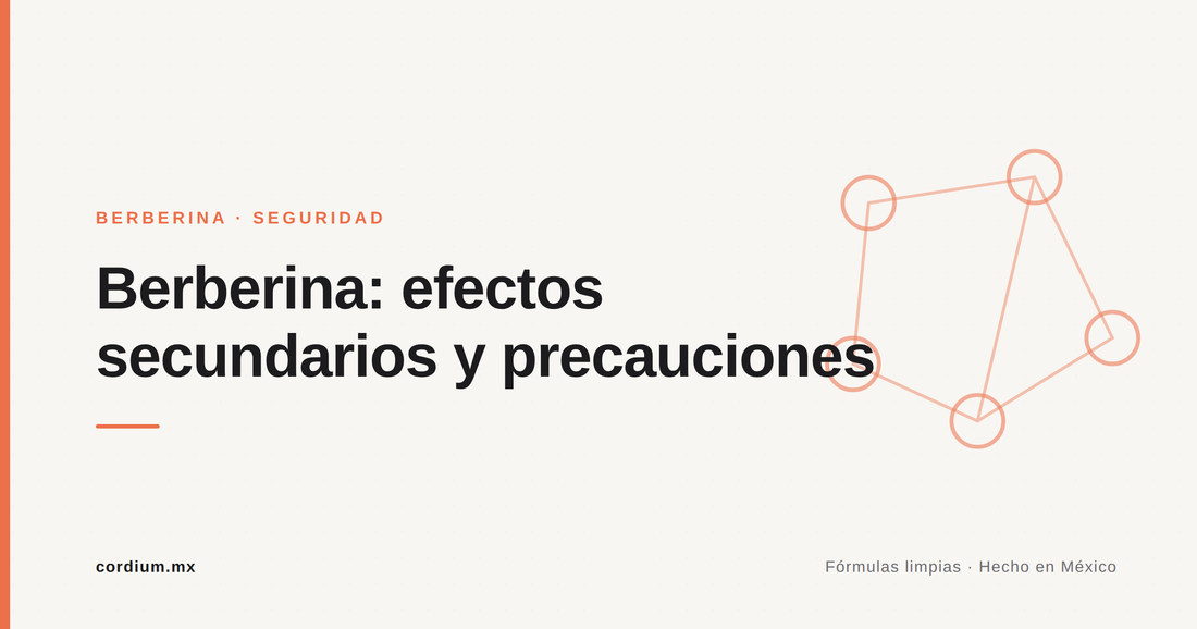 Berberina: efectos secundarios y precauciones