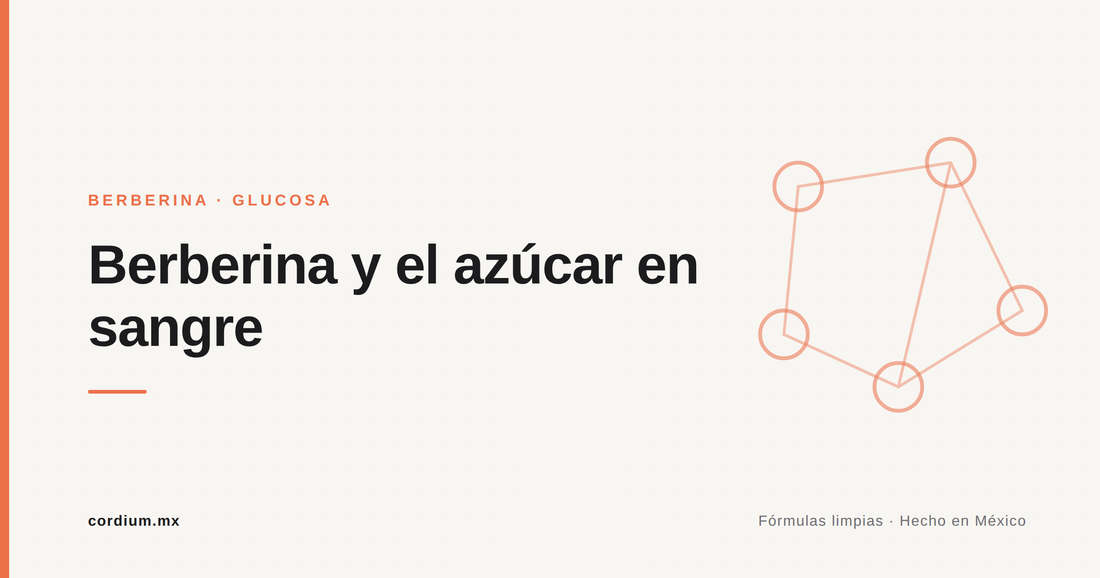 Berberina y el azúcar en sangre — Cordium