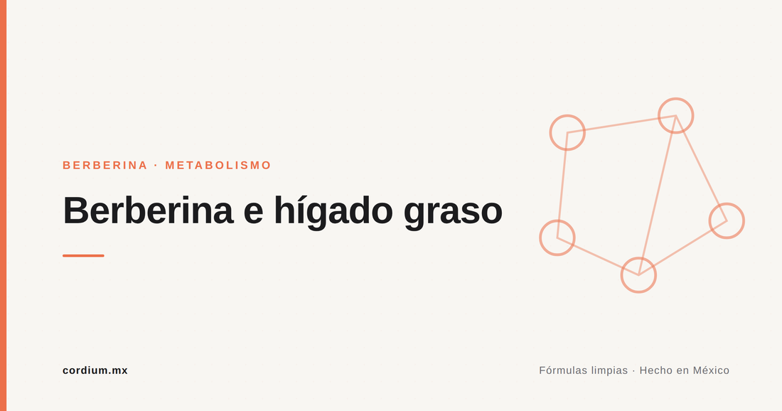 Berberina e hígado graso: lo que se sabe con honestidad