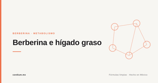 Berberina e hígado graso: lo que se sabe con honestidad