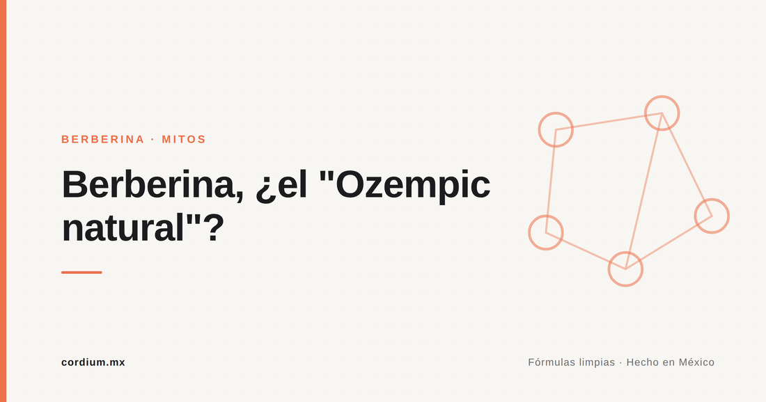 Berberina, ¿el Ozempic natural?