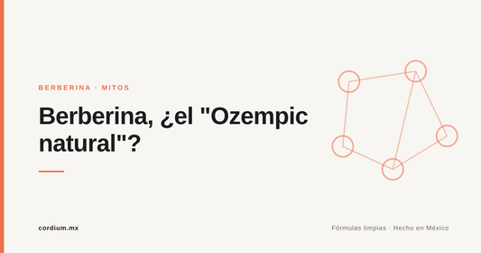 Berberina, ¿el Ozempic natural?