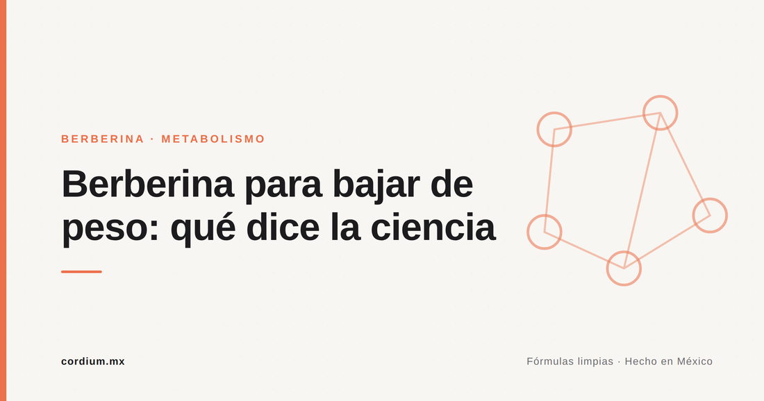 Berberina para bajar de peso: qué dice la ciencia — Cordium