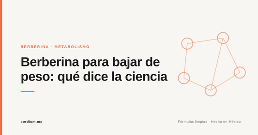 Berberina para bajar de peso: qué dice la ciencia — Cordium