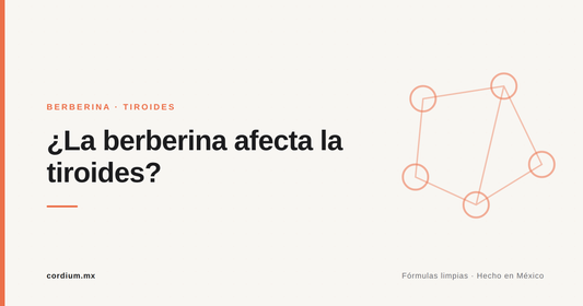 ¿La berberina afecta la tiroides? Lo que debes saber antes de tomarla