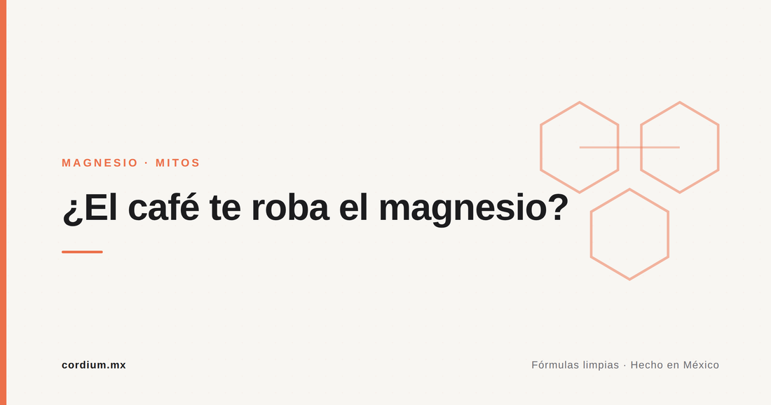 ¿El café te "roba" el magnesio? Lo que de verdad pasa