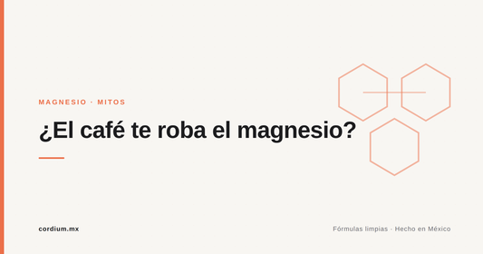 ¿El café te "roba" el magnesio? Lo que de verdad pasa