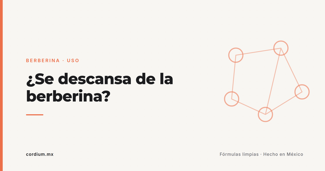 ¿Se debe "descansar" de la berberina? Ciclos, pausas y cuánto tiempo tomarla