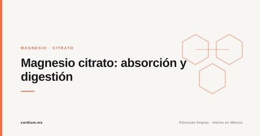 Magnesio citrato: para qué sirve y por qué es de los más usados