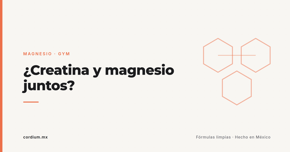 ¿Creatina y magnesio juntos? La dupla del gym, explicada sin mitos