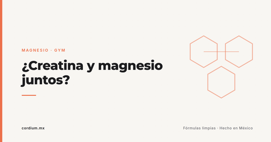 ¿Creatina y magnesio juntos? La dupla del gym, explicada sin mitos