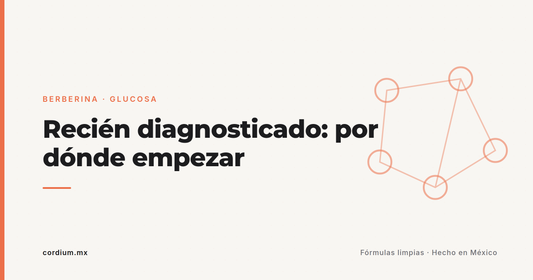 "Me diagnosticaron diabetes tipo 2": la guía de la primera semana (sin pánico y sin cuentos)