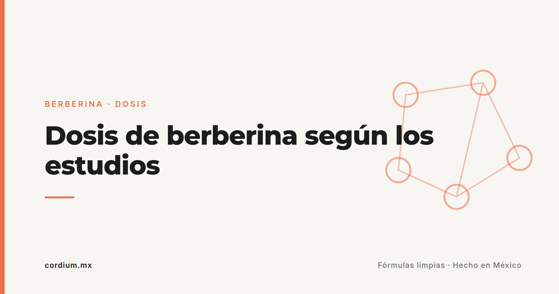 Dosis de berberina: por qué los estudios usan 900–1,500 mg divididos (y cómo aterrizarlo)