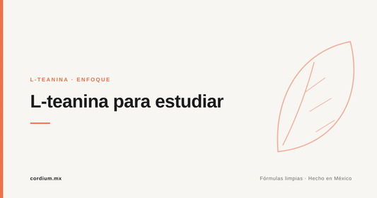 L-teanina para estudiar: enfoque tranquilo cuando más lo necesitas