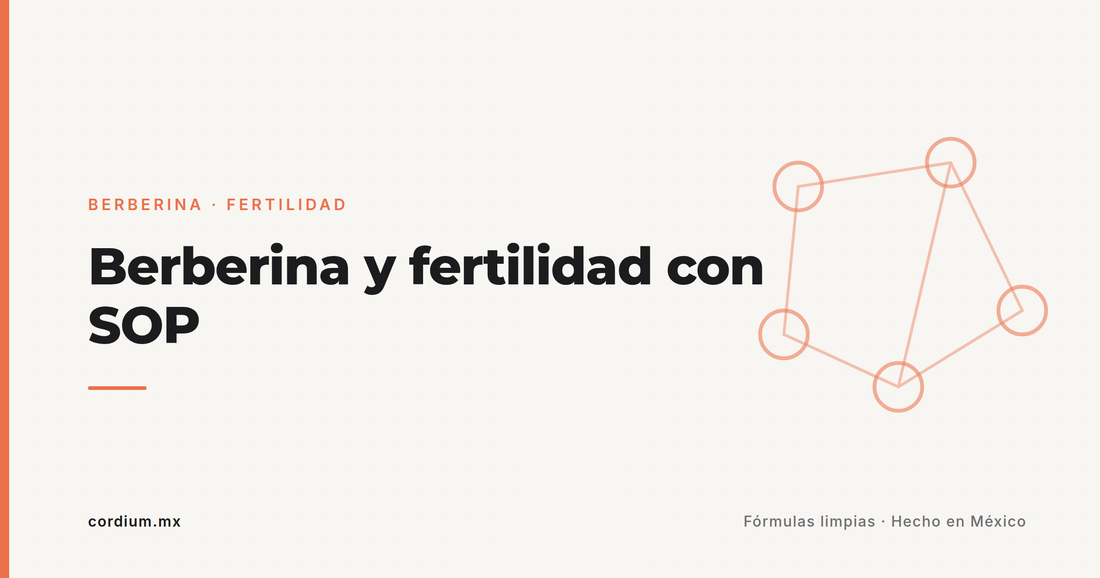 Berberina y fertilidad con SOP: qué muestra el metaanálisis 2024 (y cuándo suspenderla sí o sí)