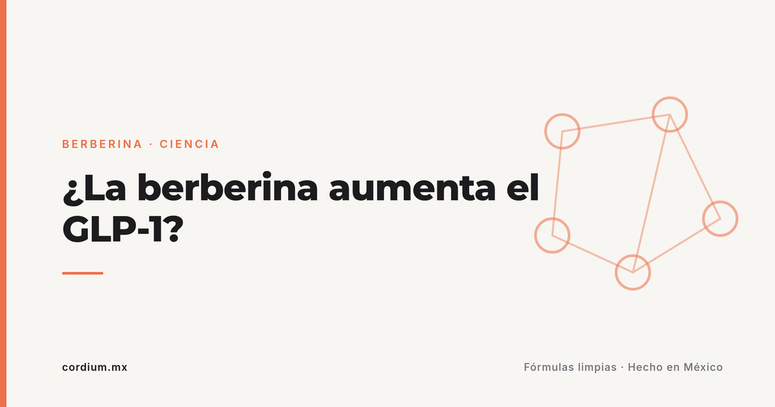 ¿La berberina aumenta el GLP-1? Qué dice la ciencia de verdad (spoiler: células y ratas)