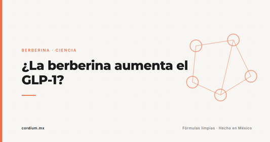 ¿La berberina aumenta el GLP-1? Qué dice la ciencia de verdad (spoiler: células y ratas)