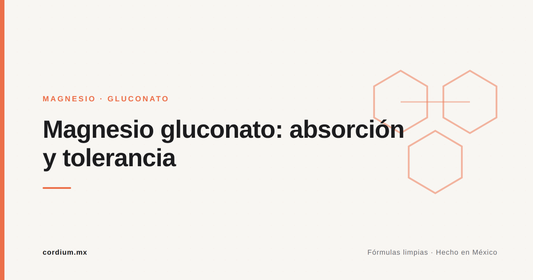 Magnesio gluconato: beneficios, absorción y para qué sirve
