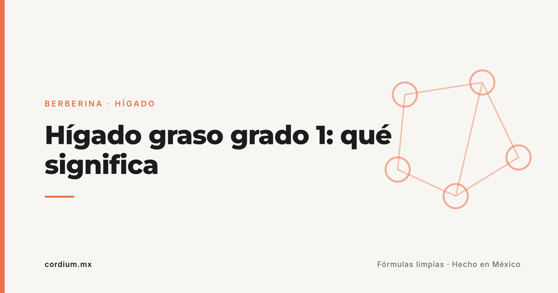 Hígado graso grado 1: qué significa ese renglón del ultrasonido (y por qué es tu mejor momento para actuar)