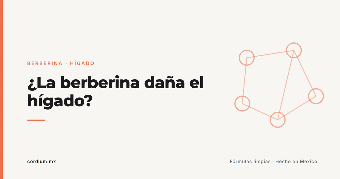 ¿La berberina daña el hígado o los riñones? Qué dicen los estudios (te va a sorprender)
