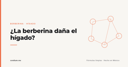 ¿La berberina daña el hígado o los riñones? Qué dicen los estudios (te va a sorprender)