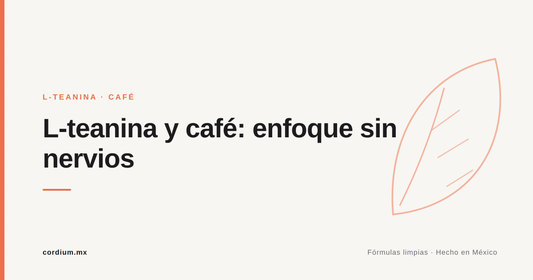 L-teanina y café: enfoque sin nervios