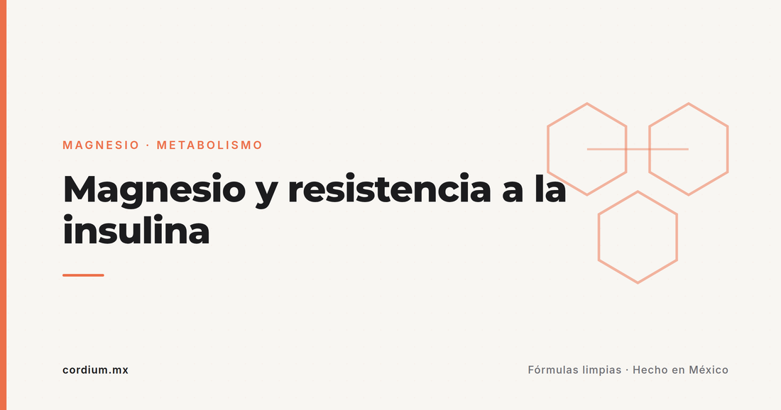 Magnesio y resistencia a la insulina: la investigación (muy mexicana) que deberías conocer