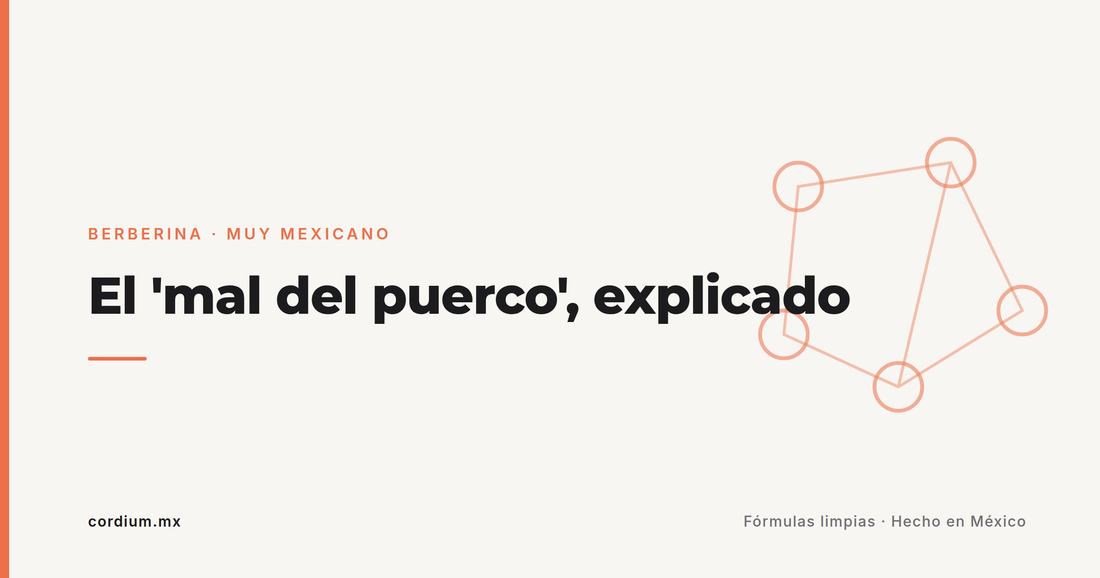 "Mal del puerco": por qué te da sueño después de comer (y qué dice de tu glucosa)