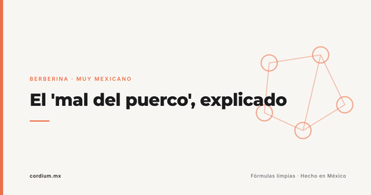 "Mal del puerco": por qué te da sueño después de comer (y qué dice de tu glucosa)