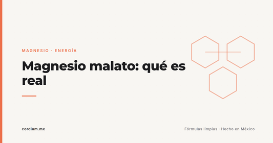 Magnesio malato: energía, fatiga y fibromialgia — qué es real y qué es eco
