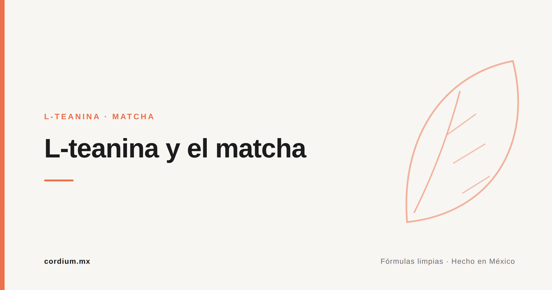 L-teanina y matcha: por qué el té verde relaja y despierta a la vez