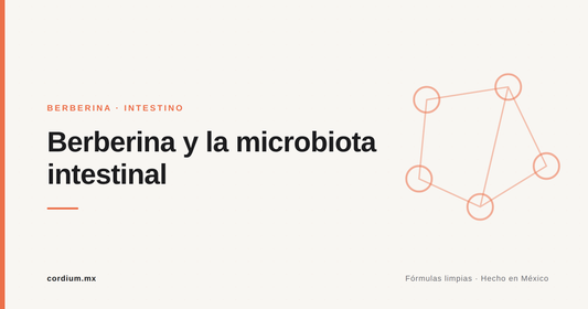 Berberina y microbiota intestinal: parte de su magia pasa por tu flora