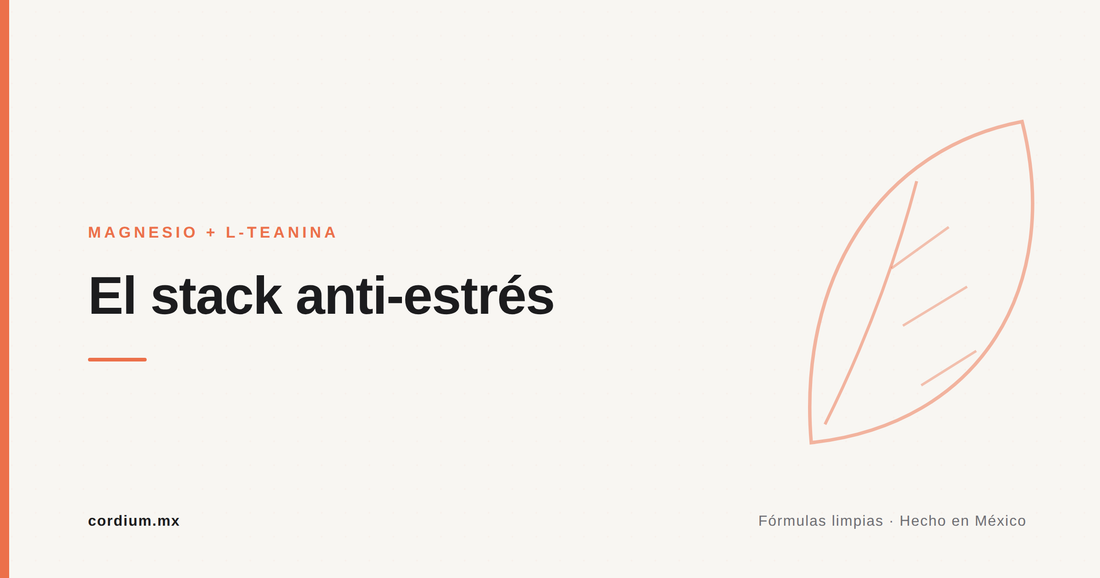 Magnesio y L-teanina juntos: el "stack" anti-estrés bien entendido