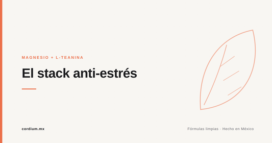 Magnesio y L-teanina juntos: el "stack" anti-estrés bien entendido