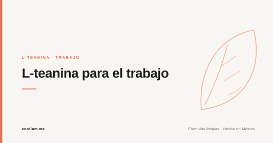 L-teanina para el trabajo: foco tranquilo entre juntas, correos y deadlines